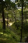 Ginkaku-ji