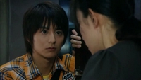 Shibatora