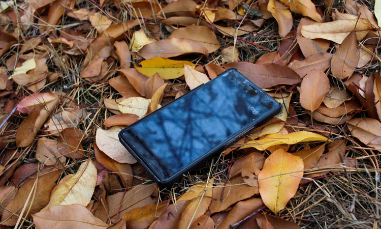Téléphone portable perdu dans des feuilles mortes