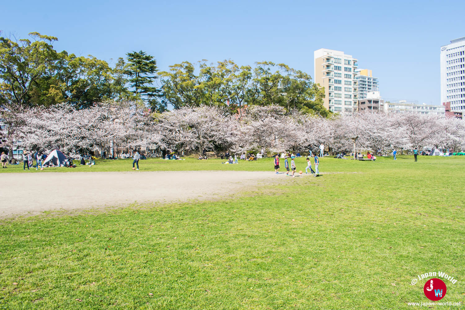 Hanami au parc Ohori-koen à Fukuoka