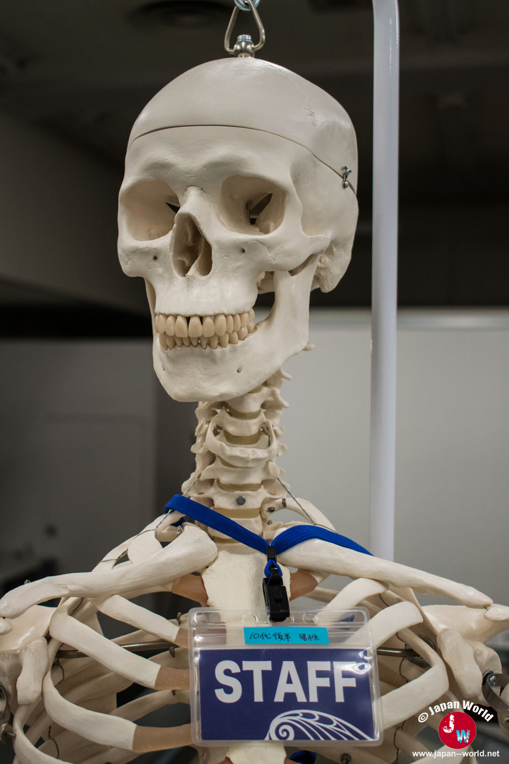 Coin pour les enfants au musée de l'université de Kyushu