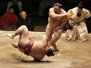 Sumo Sumo
