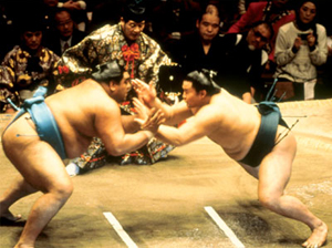 Sumo Sumo