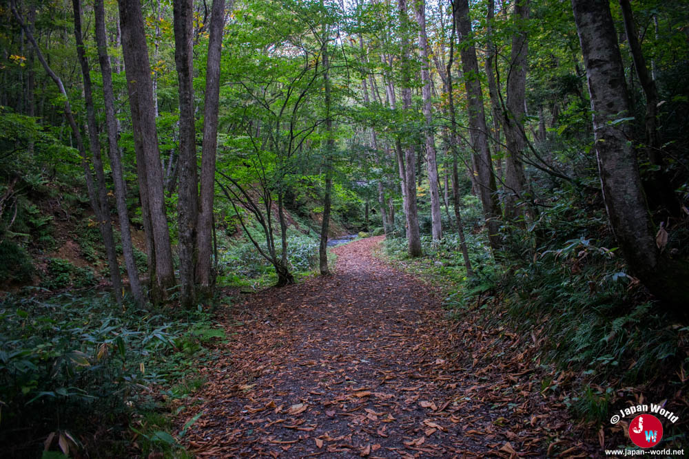 Le sentier des chutes Tatsusawa Fudo à Fukushima