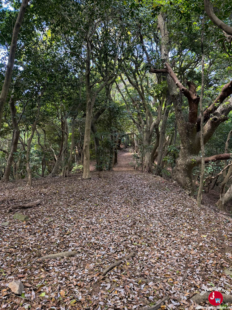 Sentier de randonnée entre Joyama et Ishitoge