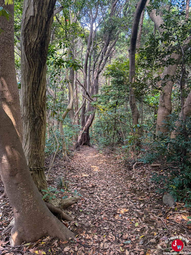 Randonnée sur les crêtes de Munakata en direction de Ishitoge