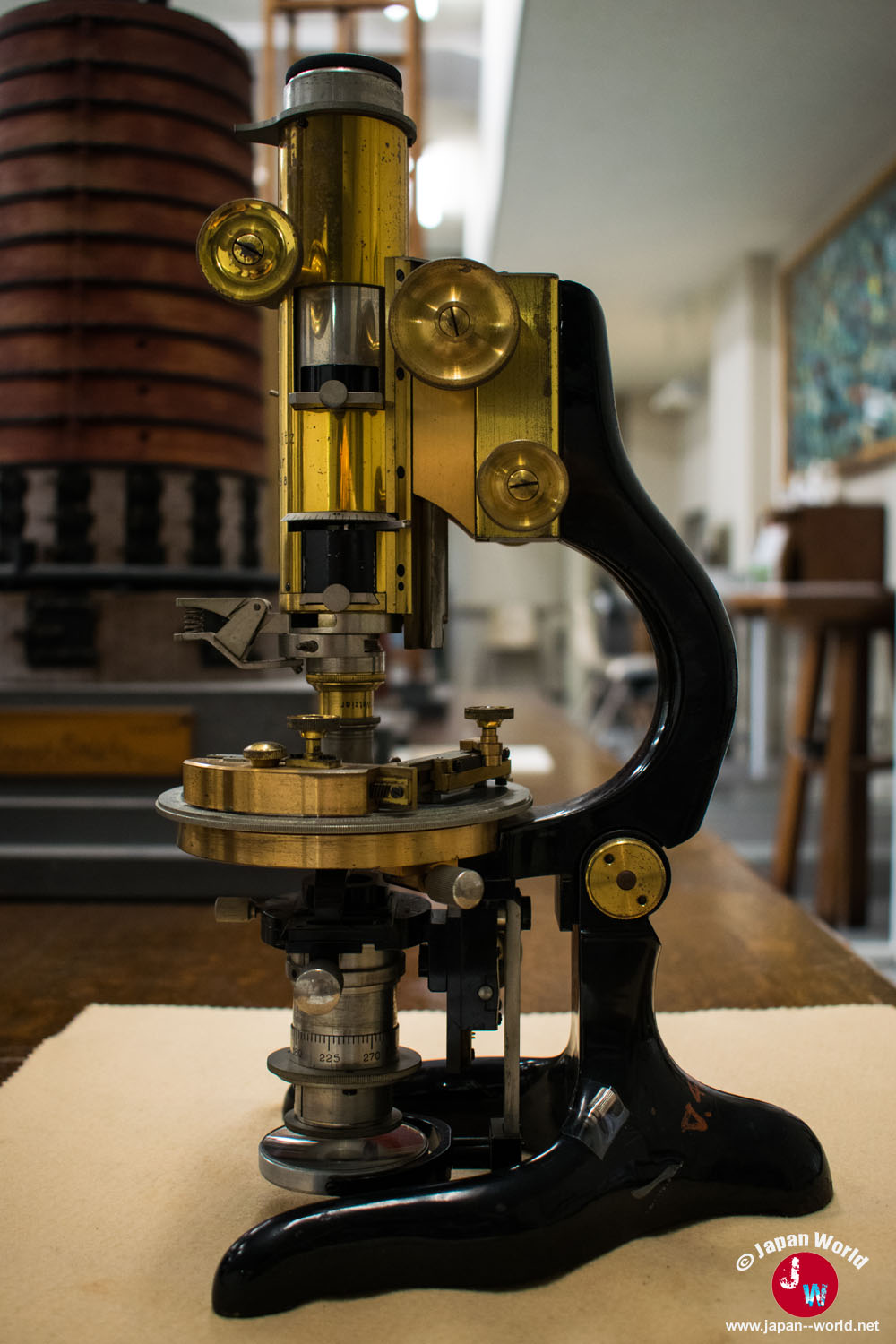 Ancien microscope noir et doré présenté parmi les instruments scientifiques du musée