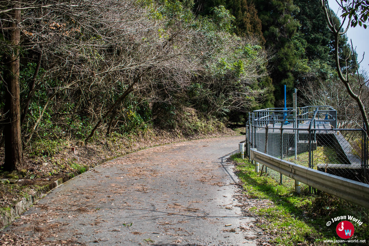 Chemin rejoignant une route près du lac Tempai à Fukuoka