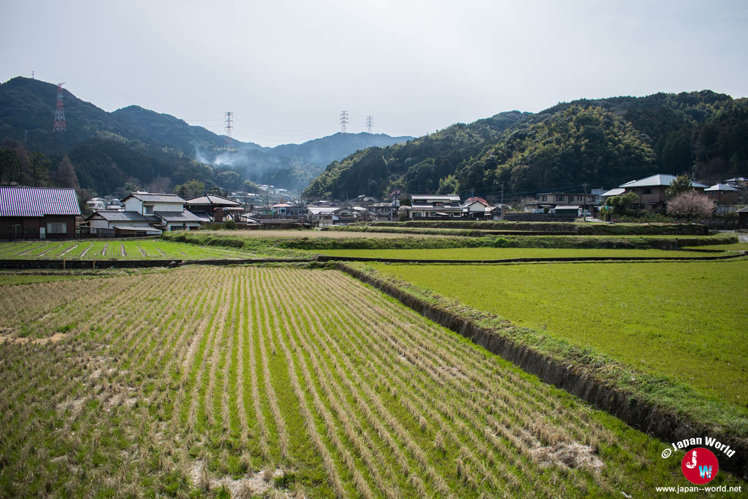 Rizières du village de Yamaguchi entourées de montagnes