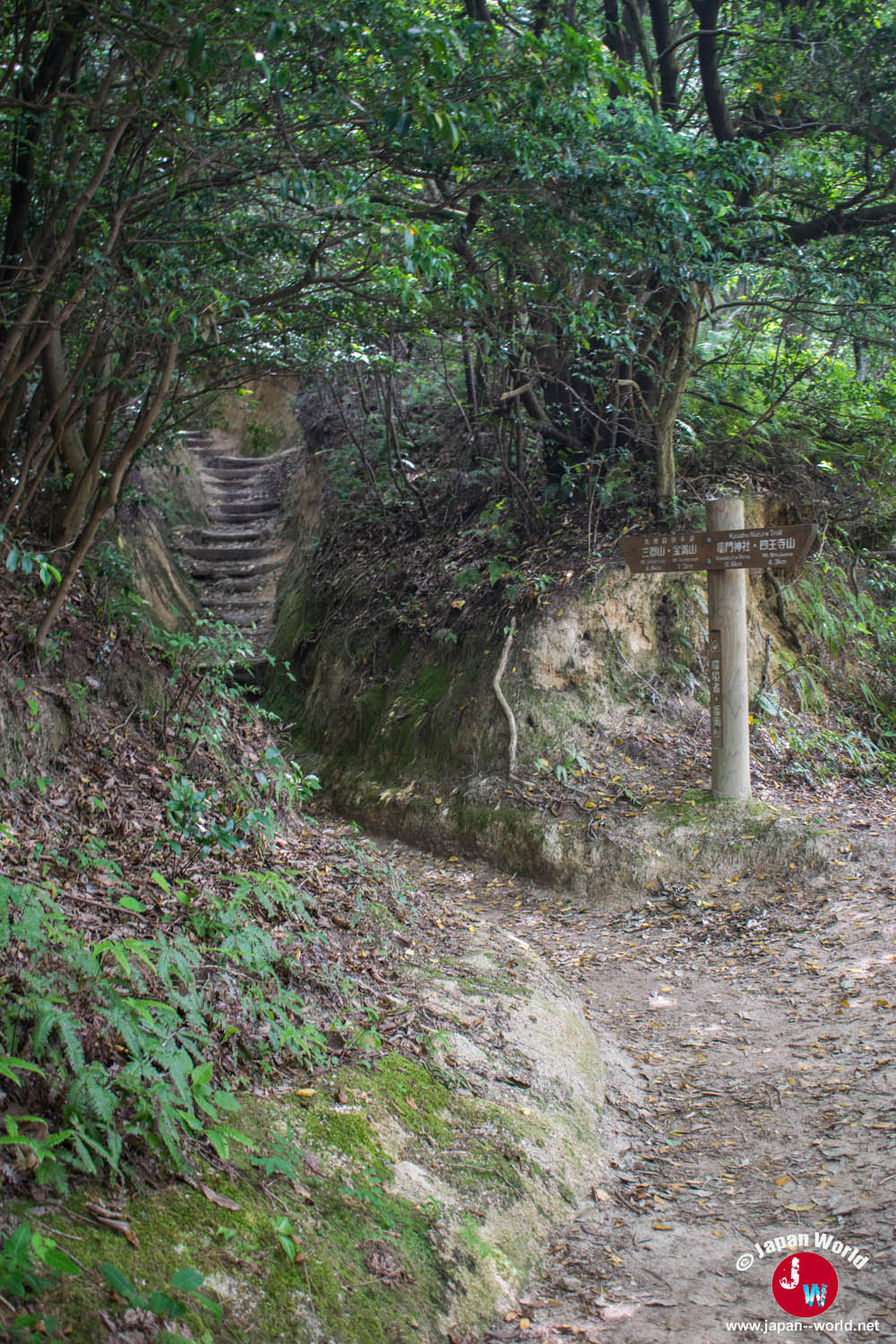 Panneau indiquant le chemin de gauche vers le mont Homan