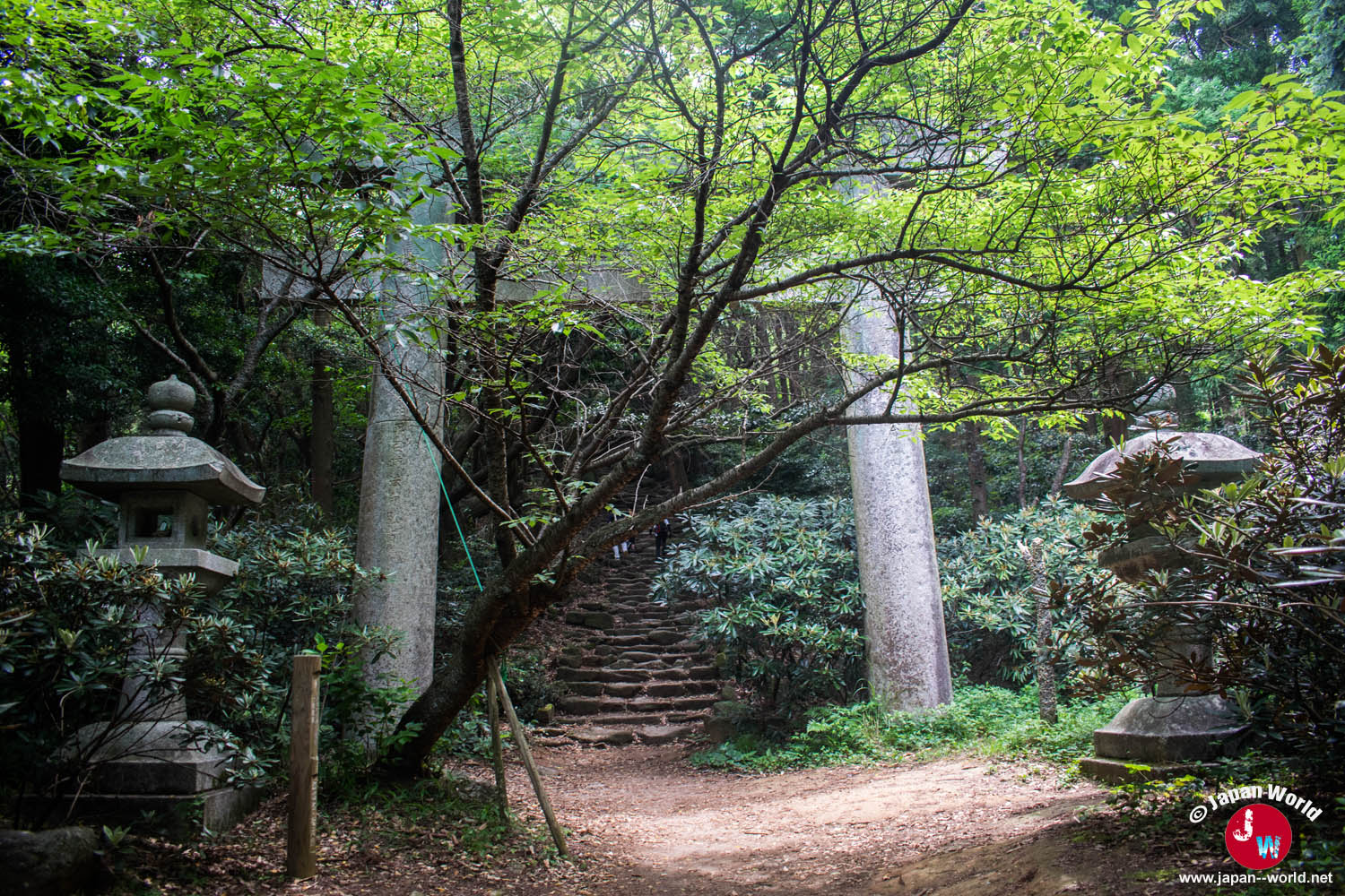 Entrée du sentier forestier de la randonnée du mont Homan