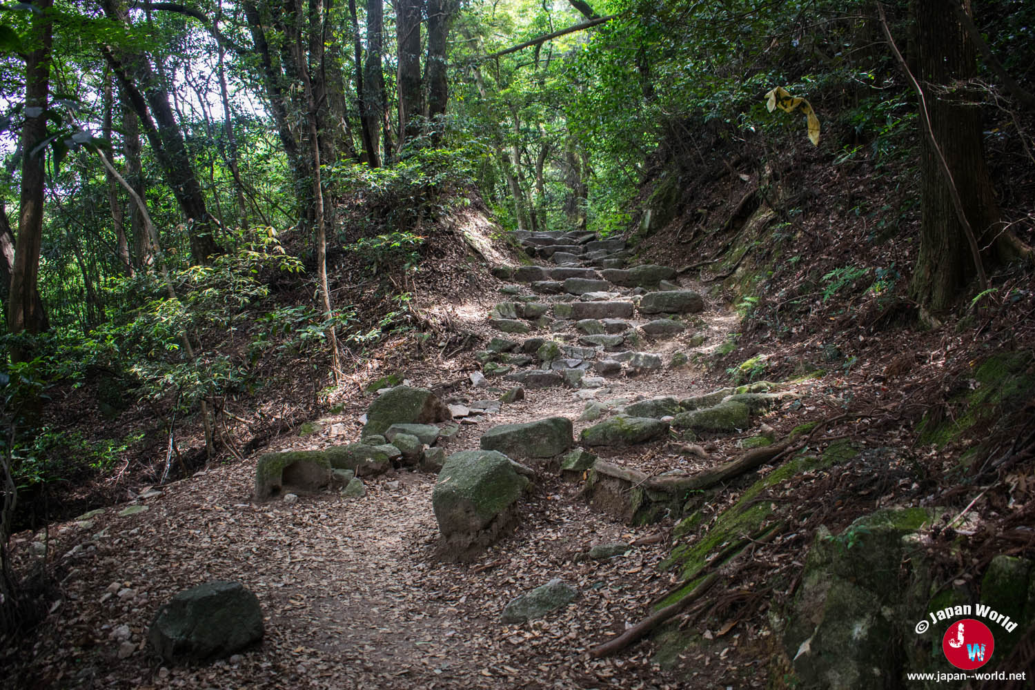 Sentier de pierres traversant la forêt du mont Homan