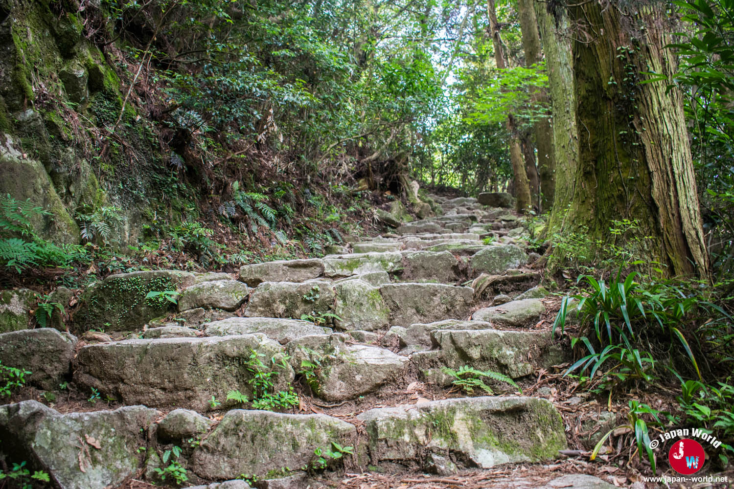 Escalier naturel de pierres pendant la montée du mont Homan