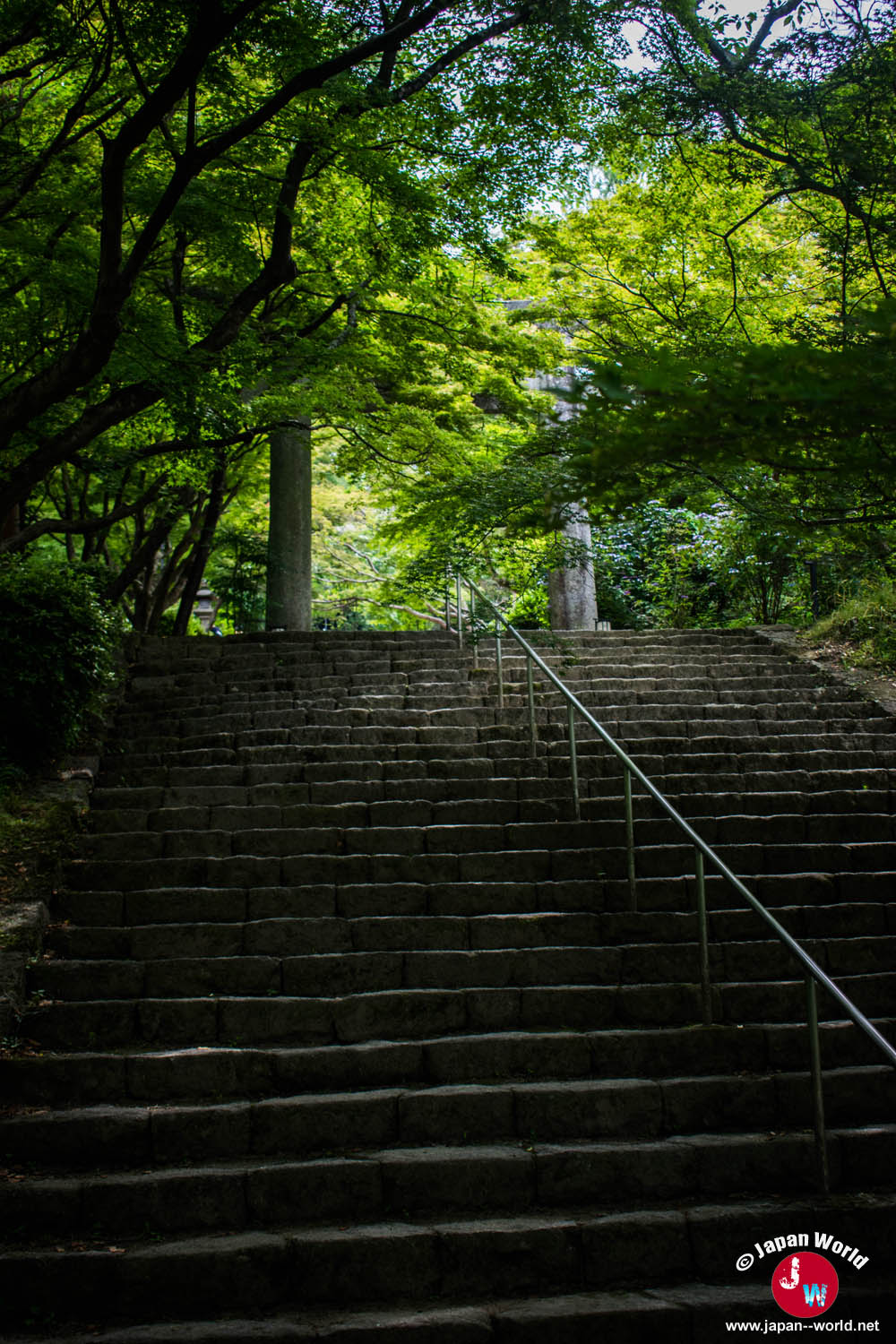 Long escalier entouré d'arbres au départ du mont Homan
