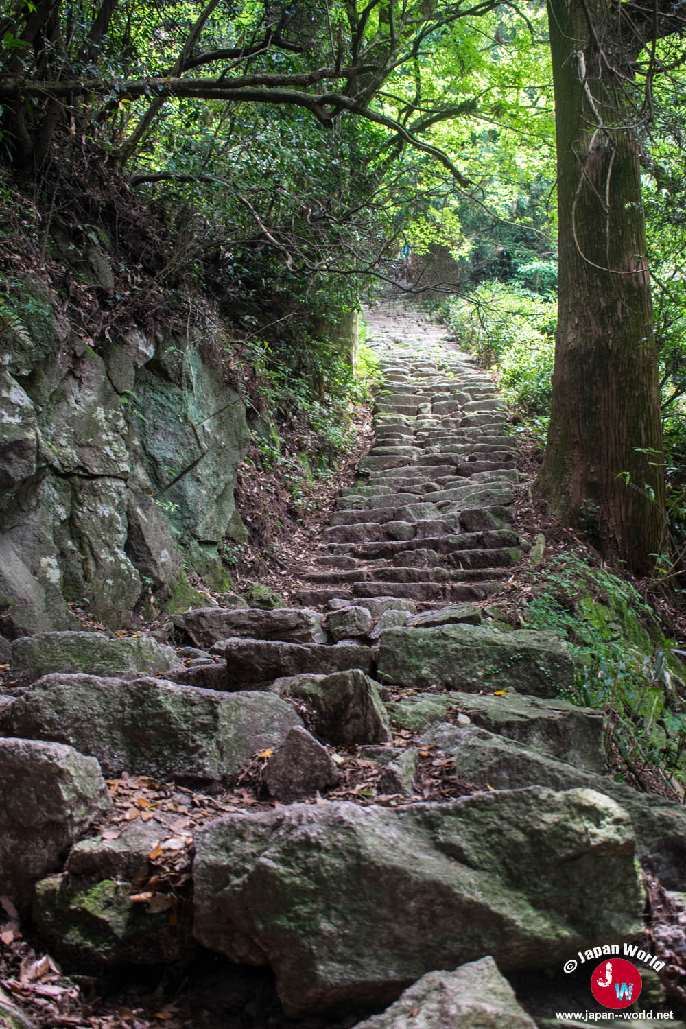 Passage rocheux escarpé pendant l'ascension du mont Homan