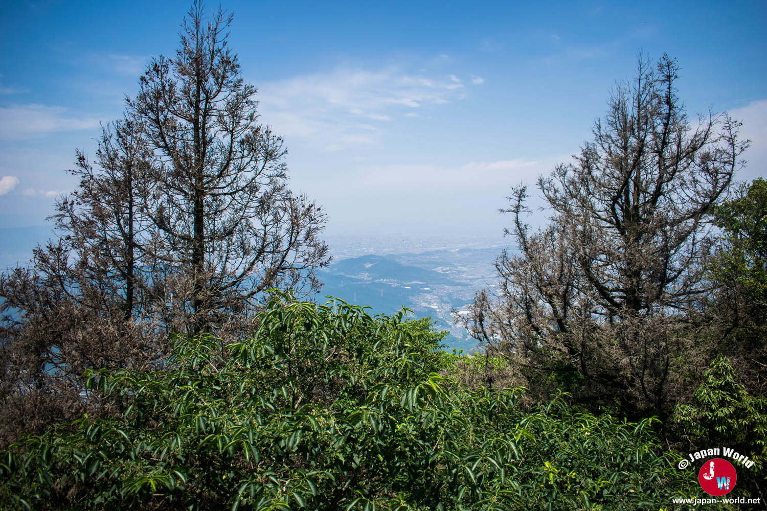 Vue sur la plaine et la ville depuis le sommet du mont Homan