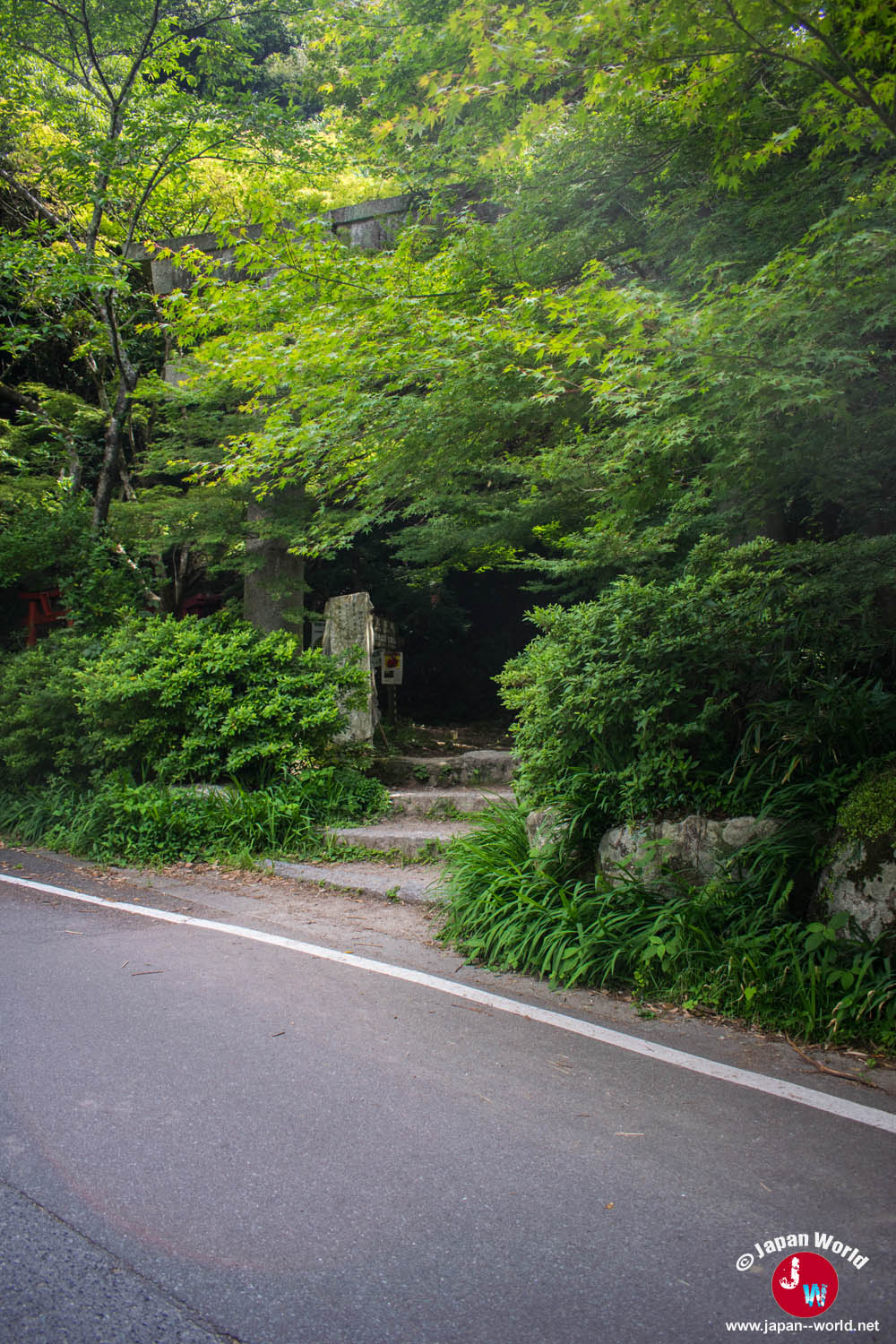 Route montant vers le début du sentier du mont Homan