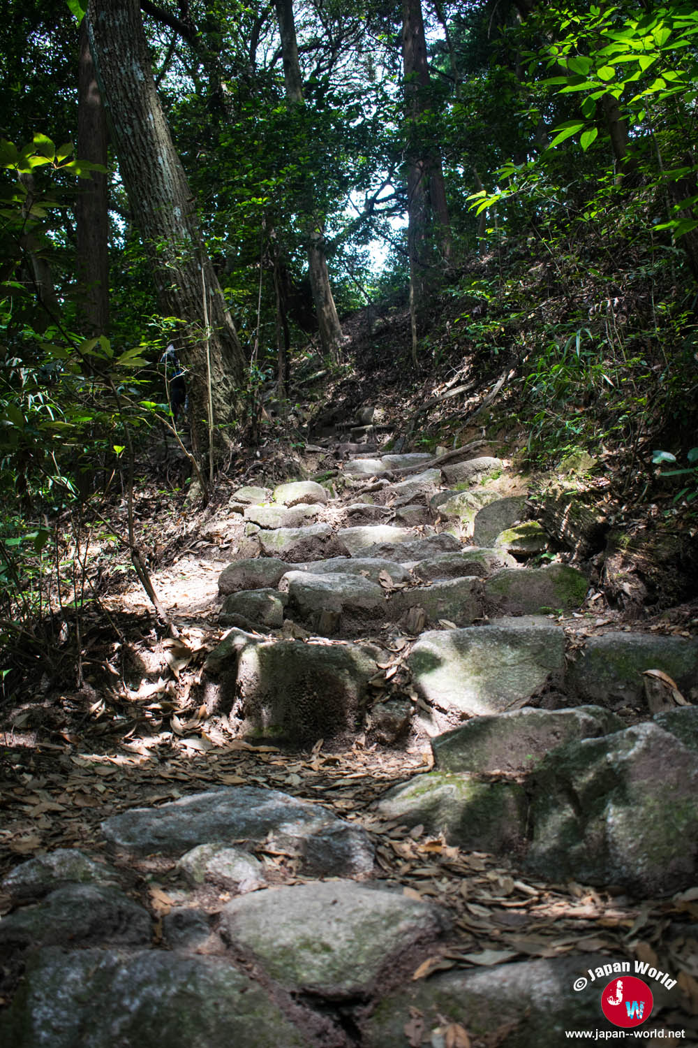 Sentier rocheux au début de la randonnée du mont Homan