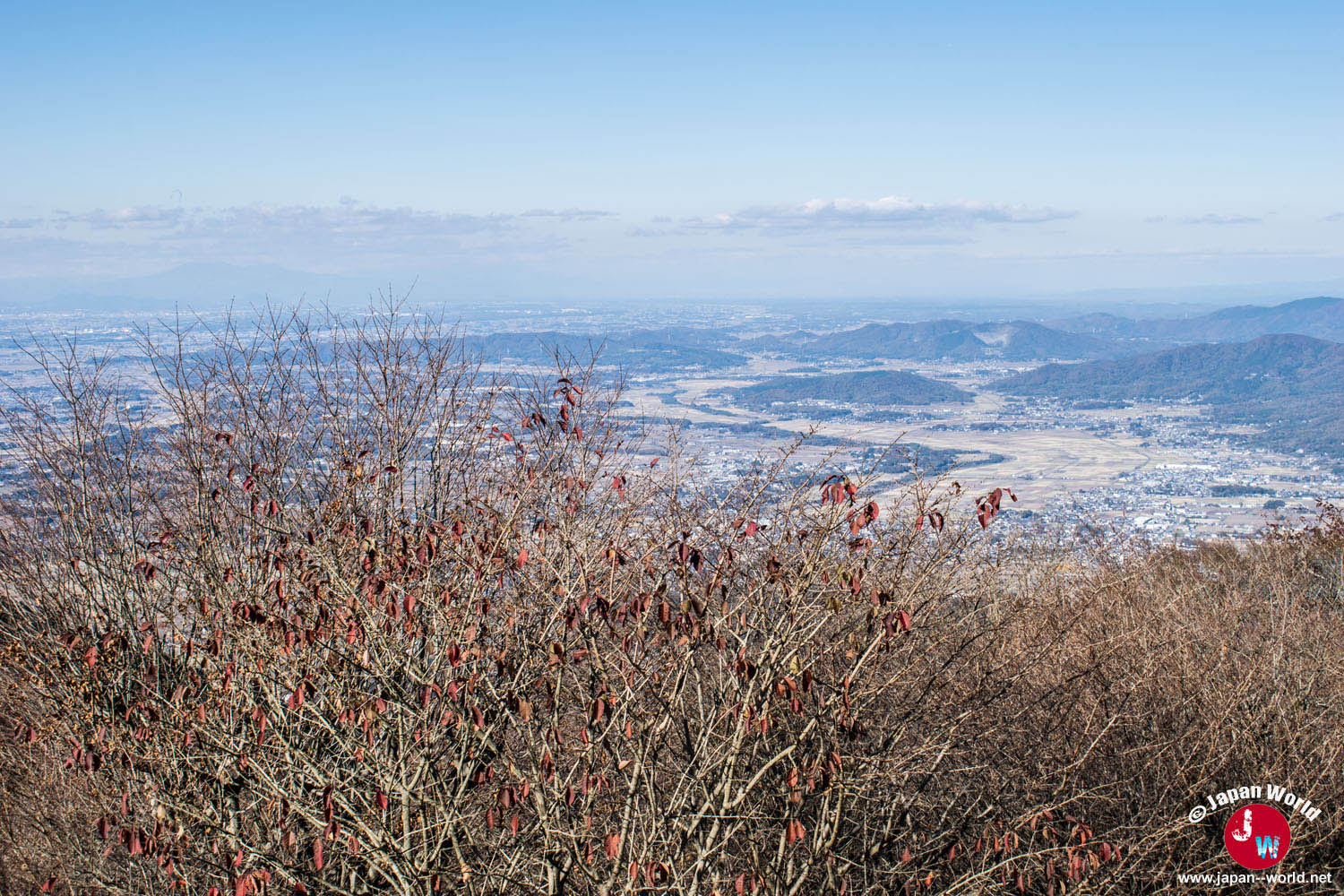 Plaine observée entre les arbres du mont Tsukuba