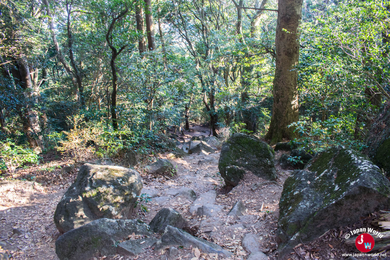 Rochers traversant le sentier de descente Shirakumobashi