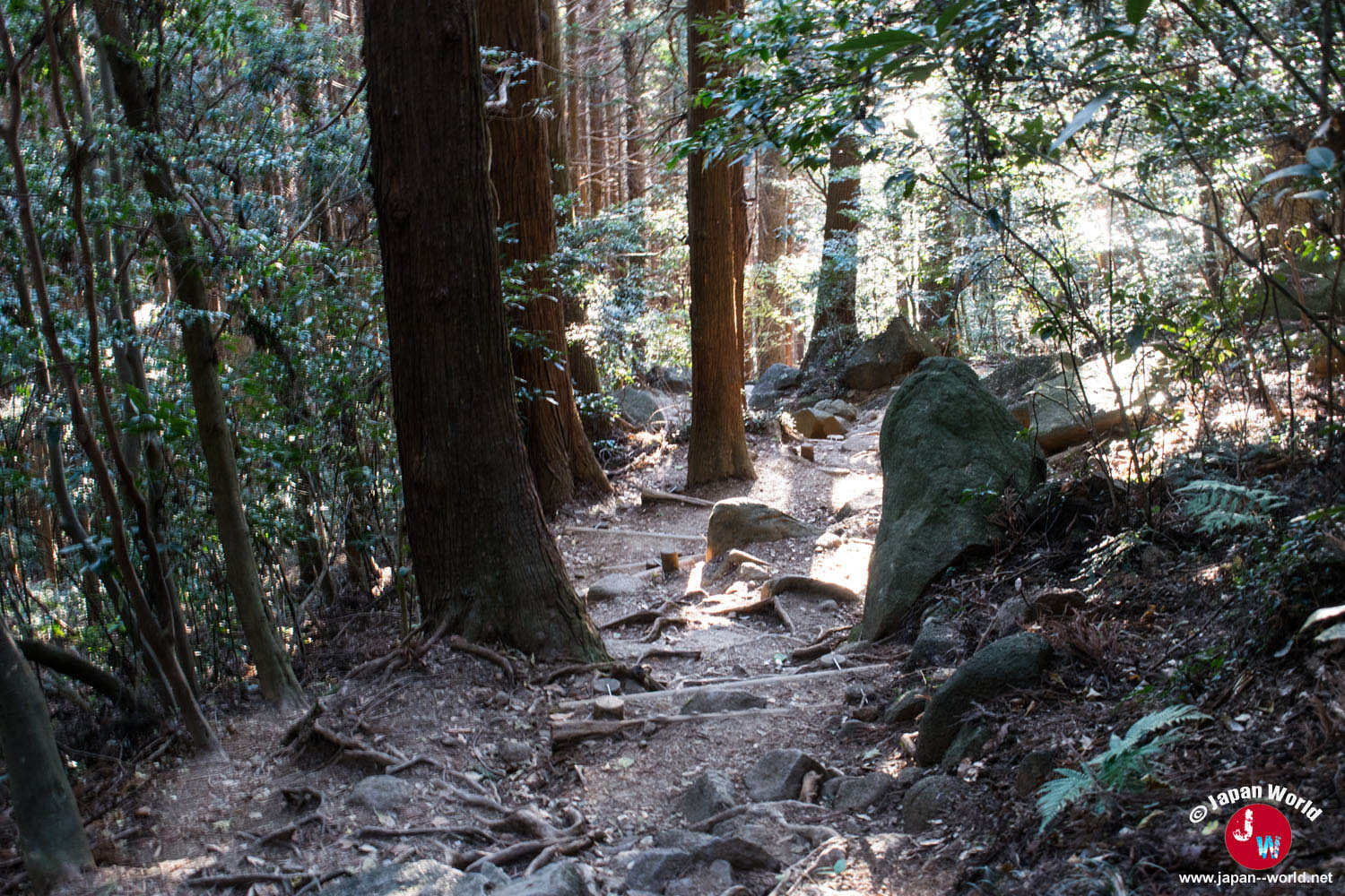 Sentier étroit entre les arbres et les rochers du mont Tsukuba