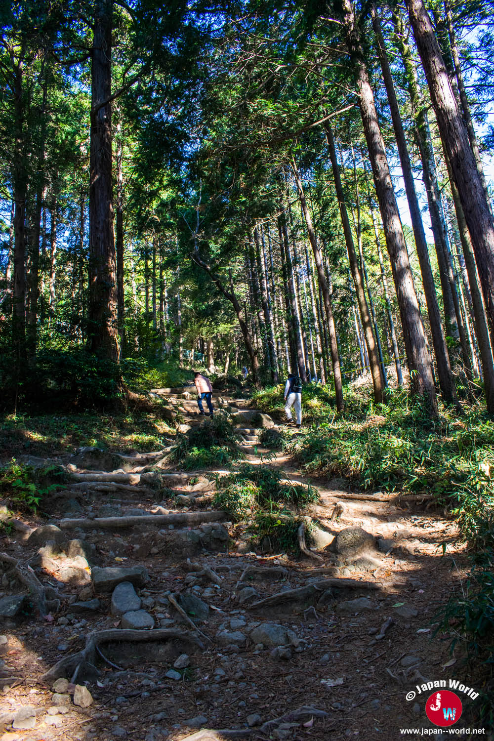 Sentier escarpé traversant la forêt du mont Tsukuba