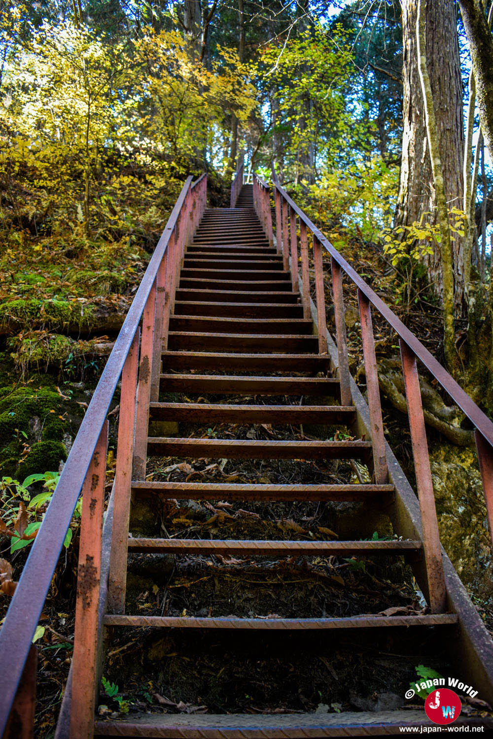 Escalier en bois montant vers Rock Garden