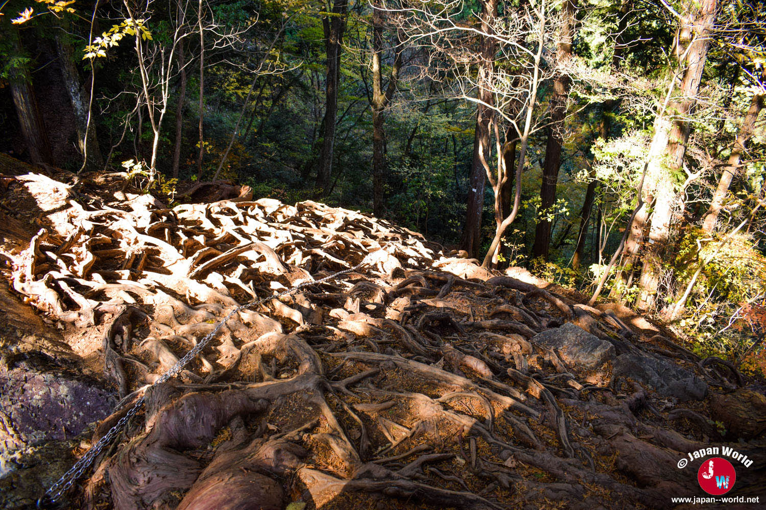 Sommet rocheux de Rock Garden au Mont Mitake
