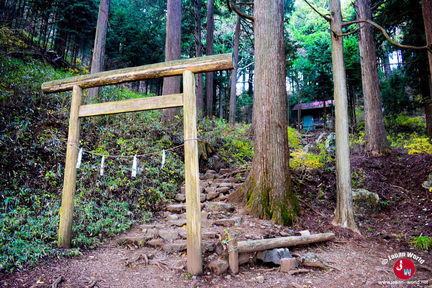Torii en bois devant le sanctuaire précédant le Mont Ohtake
