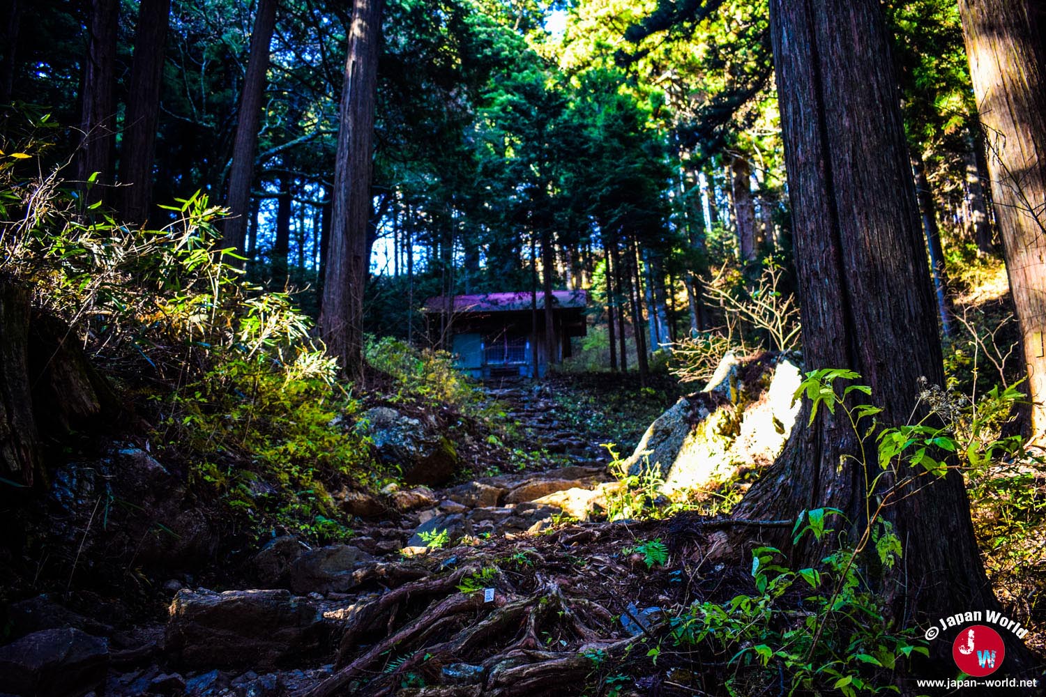 Sanctuaire situé dans la forêt avant le Mont Ohtake