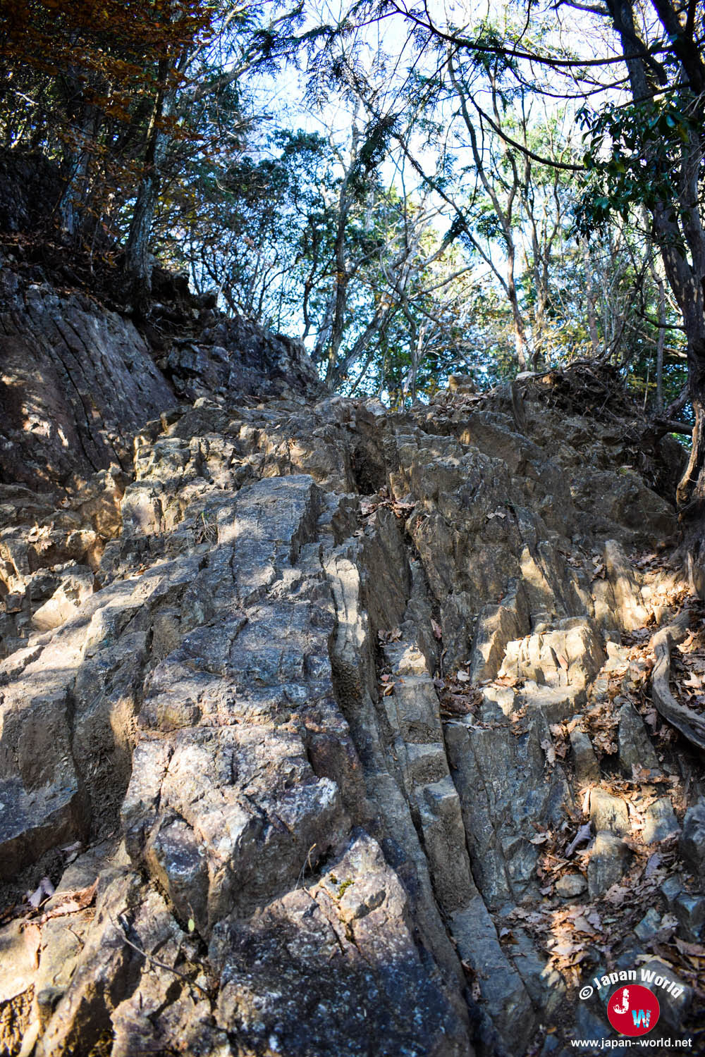 Rochers et racines avant le sommet du Mont Ohtake