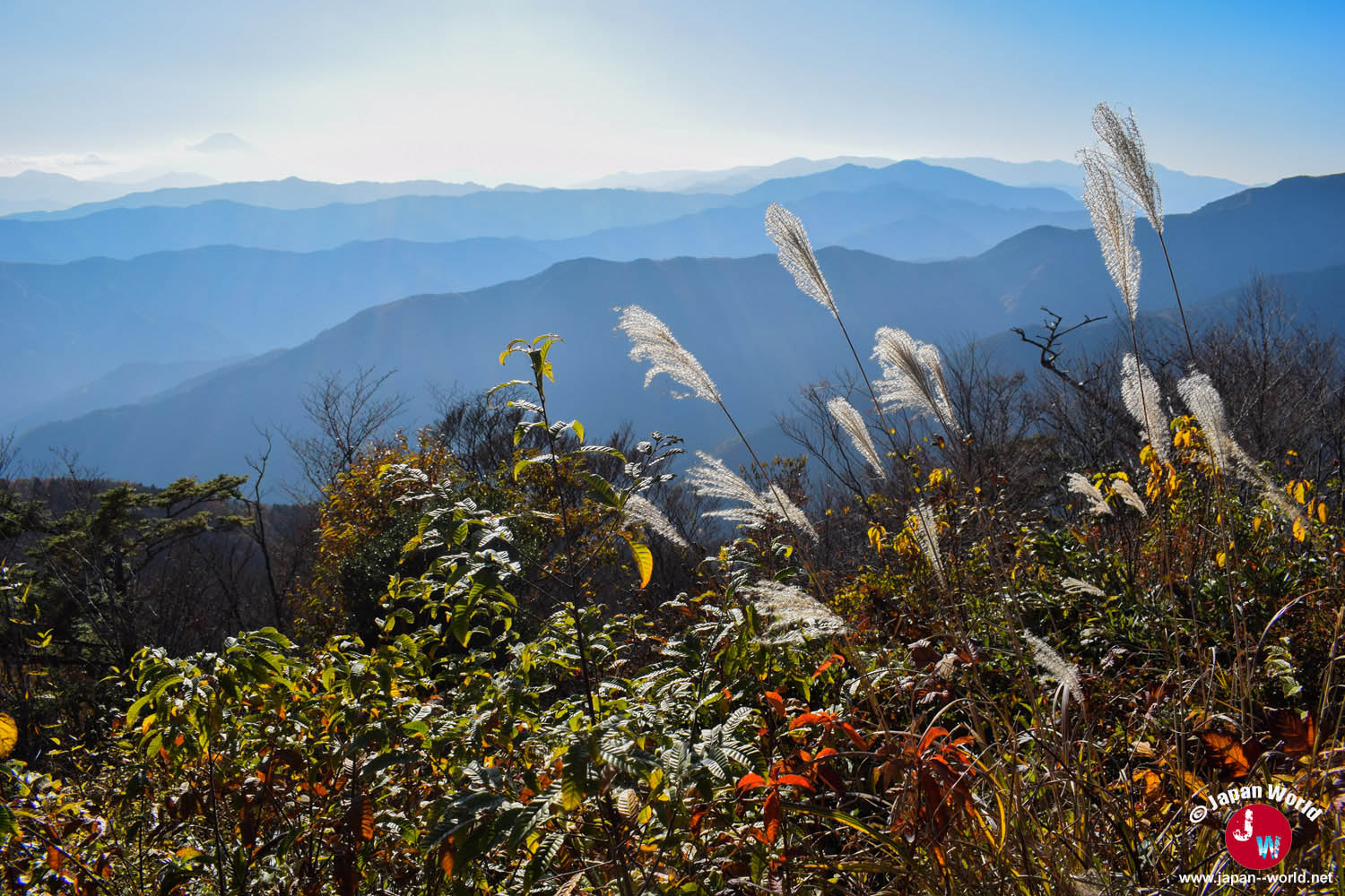 Herbes hautes devant les montagnes vues du Mont Ohtake
