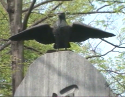 Corbeaux à Tokyo
