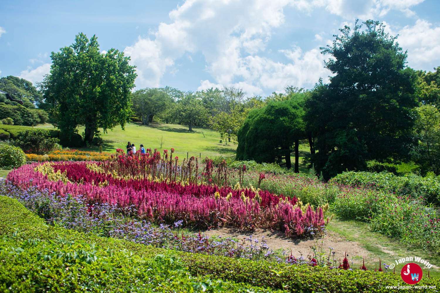 Massifs de fleurs roses et rouges à Nokonoshima