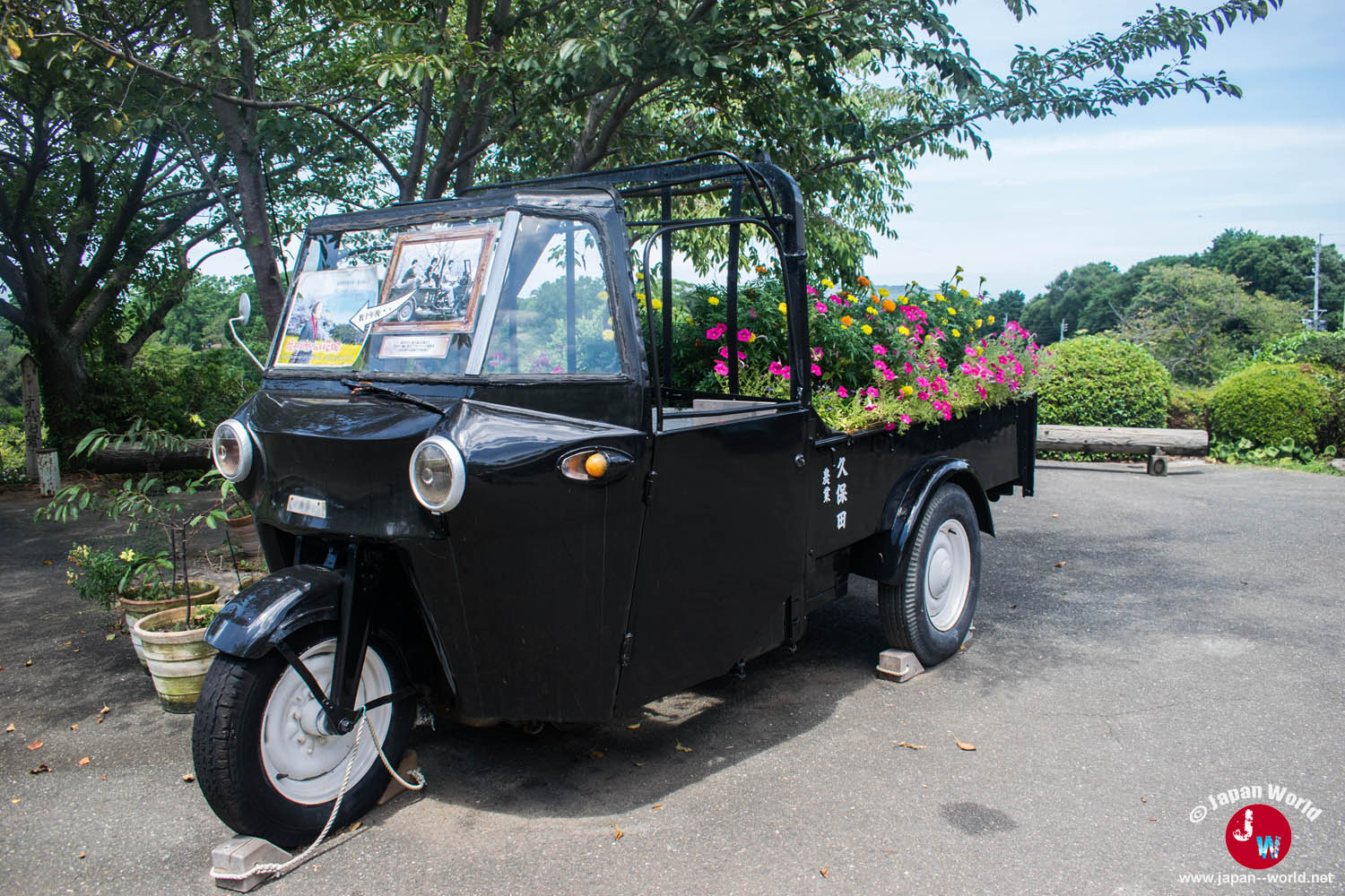 Véhicule ancien décoré de fleurs dans le parc de Nokonoshima