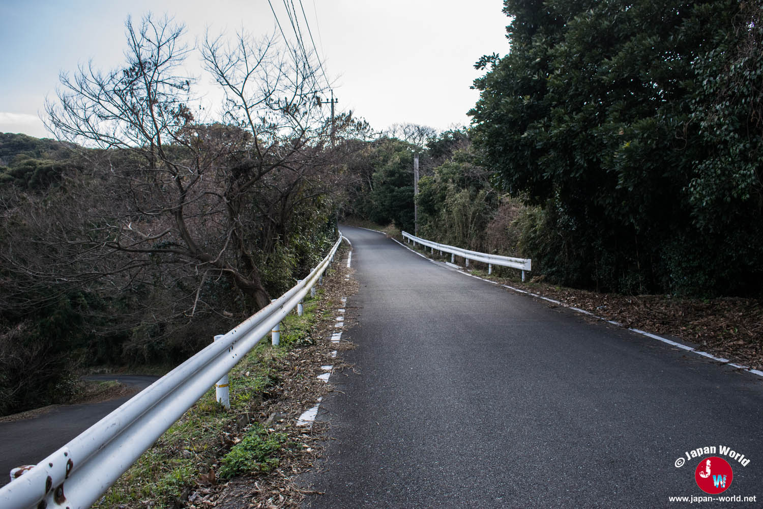 Route boisée poursuivant l'ascension vers Shiomi Park