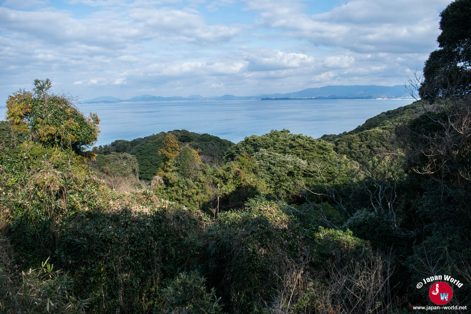 Paysage boisé aperçu en direction de Shiomi Park