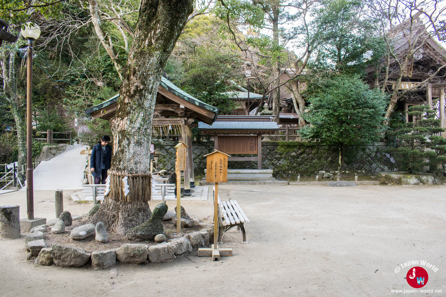 Arbre sacré et bâtiments dans l'enceinte du sanctuaire Shikaumi