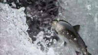 Le Japon au fil des saisons Image 3
