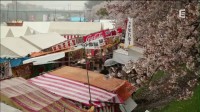Japon, le retour aux sources Image 1