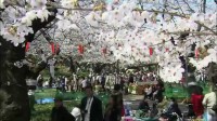Naturopolis - Tokyo, de la mégapole à la ville-jardin Image 2