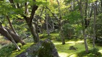 Jardins d'ici et d'ailleurs, Murin-an Image 5