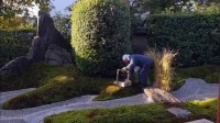 Jardins d'ici et d'ailleurs, Daitoku-ji Image 2