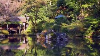 Jardins d'ici et d'ailleurs, Kenroku-en Image 1