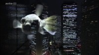 Le fugu, Un poisson mortel Image 5