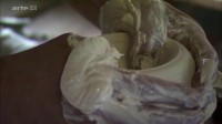 L'art de la porcelaine au Japon : Le dernier des Kakiemon Image 2