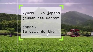 360° Geo - Japon, la voie du thé Image 1