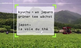 Affiche du documentaire 360° Geo - Japon, la voie du thé