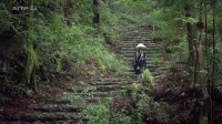Japon : les chemins de pèlerinage Image 2