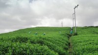 Japon : les chemins de pèlerinage Image 5